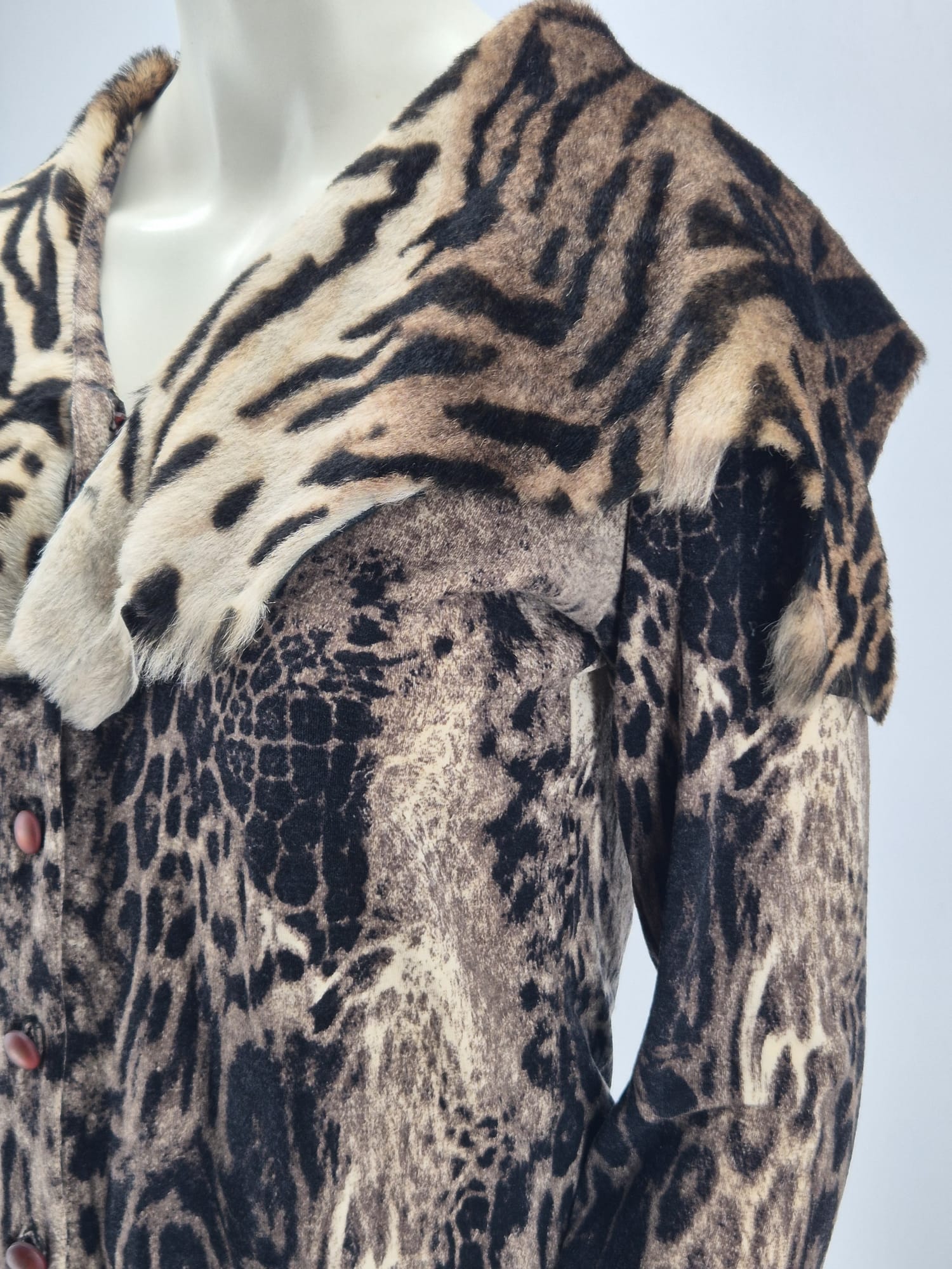 WhatsApp Image 2026-03-03 at 09.56.58 (1)